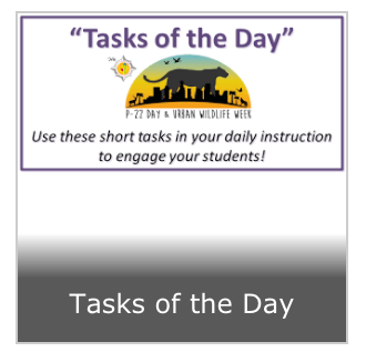 Tasks of the Day 
